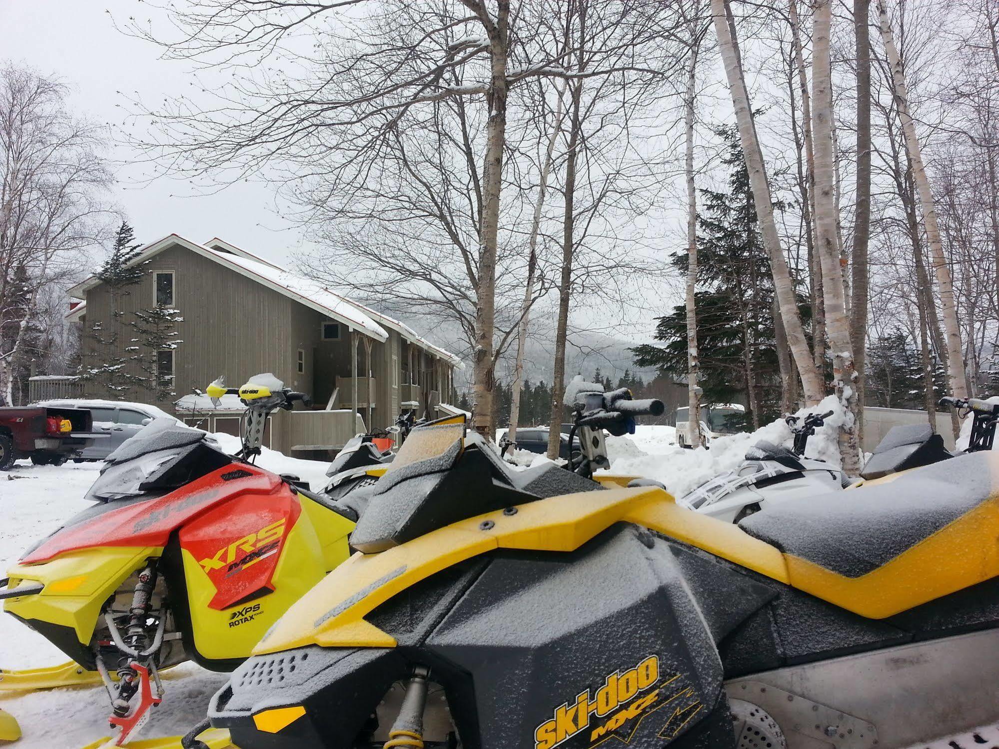 Marblewood Village Resort Steady Brook Extérieur photo