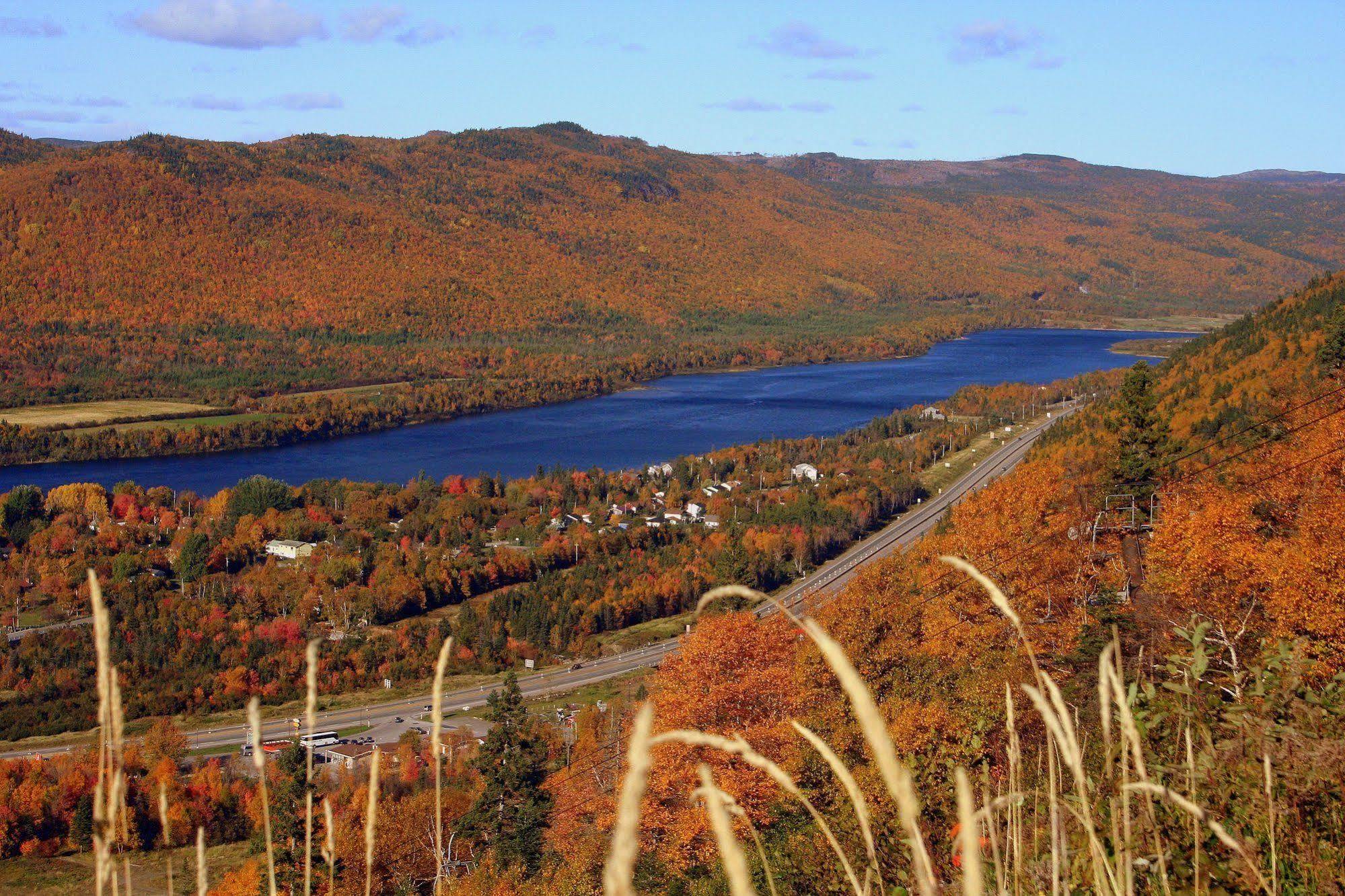 Marblewood Village Resort Steady Brook Extérieur photo