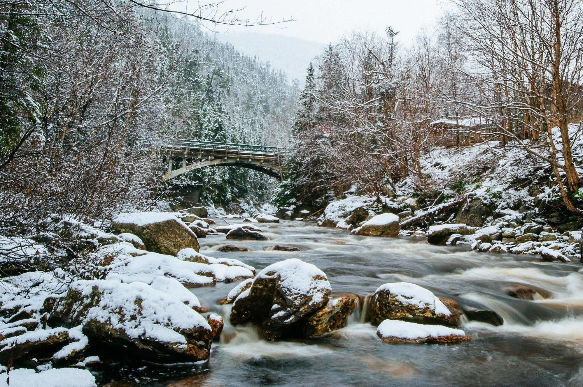 Marblewood Village Resort Steady Brook Extérieur photo